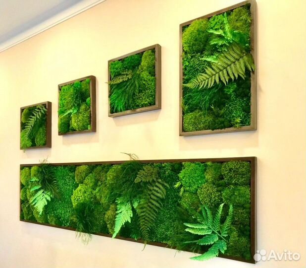 Мох стабилизированный. Озеленение. Декор