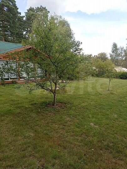 Дом 49 м² на участке 6,3 сот.