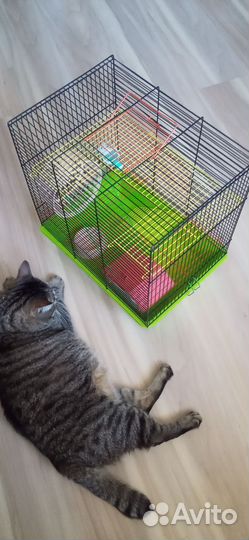 Клетка для хомяка