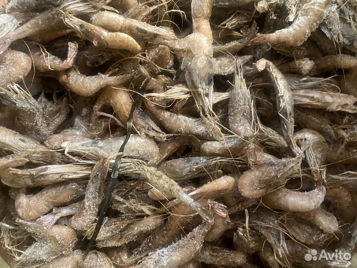 Креветка для рыбалки