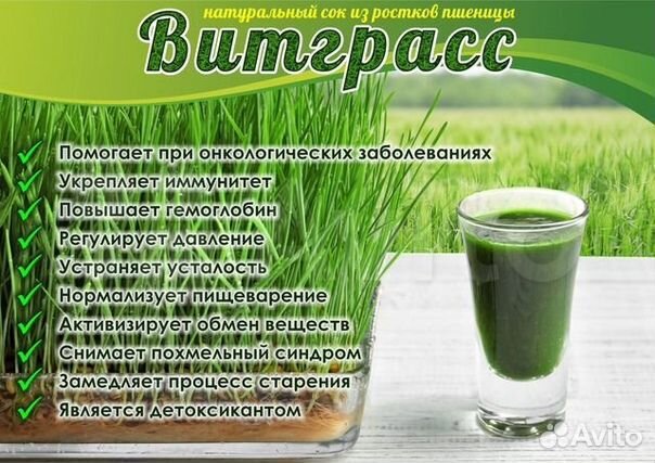 Витграсс-Хлорофилл против Рака