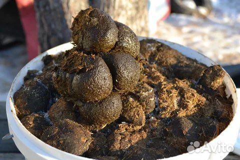 Удобрение конское