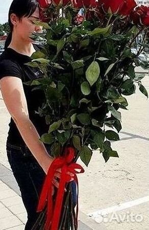 Высокие Розы Гиганты Доставка Круглосуточно