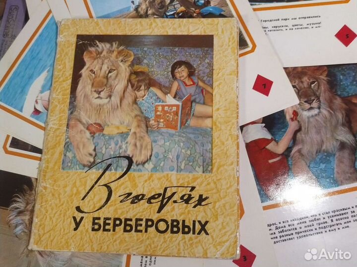 Набор открыток В гостях у Берберовых