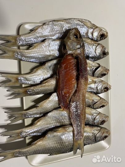 Вяленая рыба вобла Астроханская