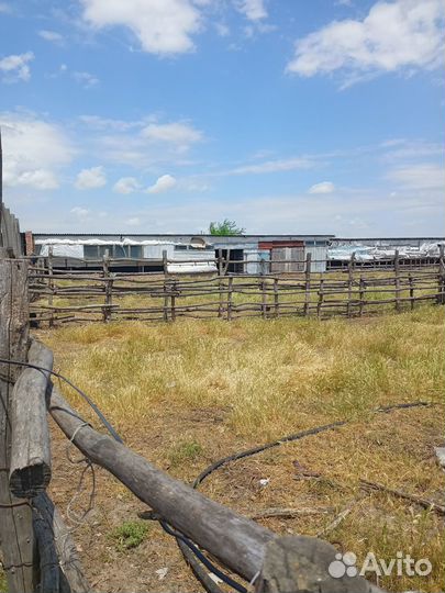 Ферма в аренду