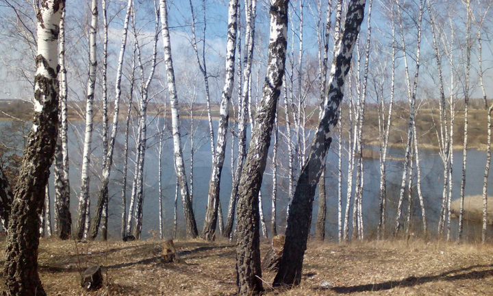 Участок 4 га (СНТ, ДНП)