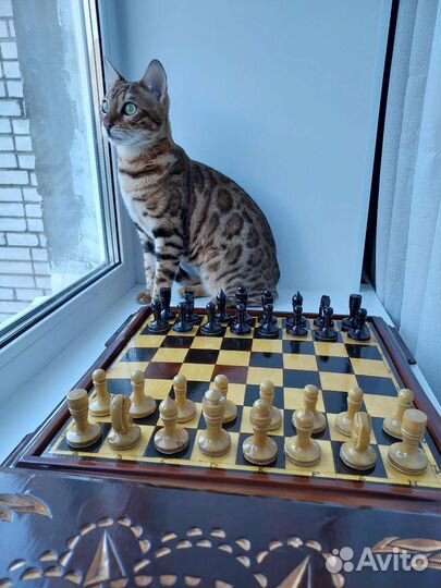 Шахматы ручной работы