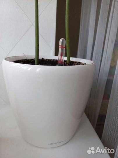 Кашпо для цветов lechuza с автополивом