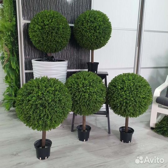 Искусственный самшит