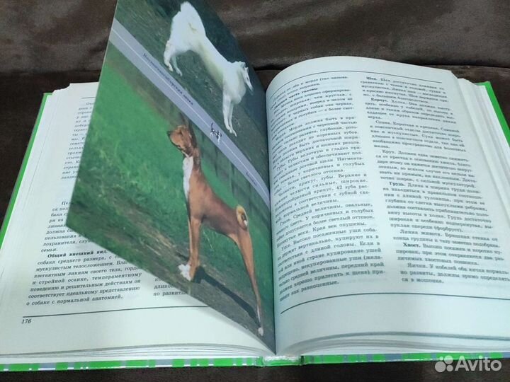 Книга о собаках