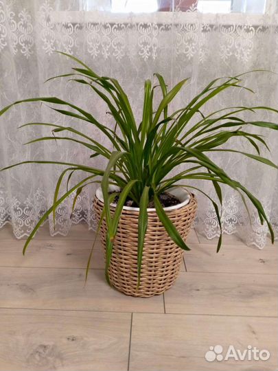 Кашпо из искусственного ротанга