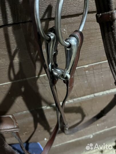 Уздечка для лошади cob