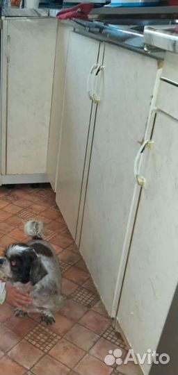 Кухня угловая с мойкой бу