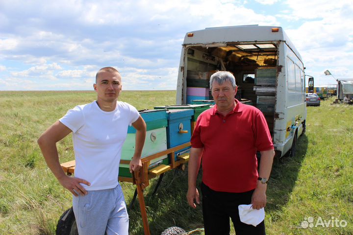 Мёд оптом - своя пасека, липовый - 7кг