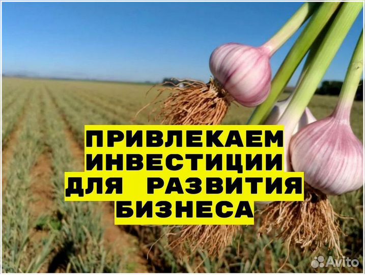 Готовый бизнес, инвестиции