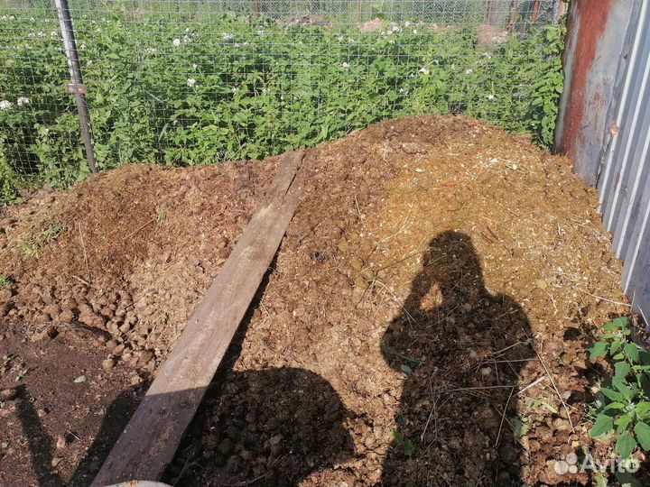 Конский навоз