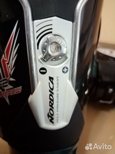 Горнолыжные ботинки