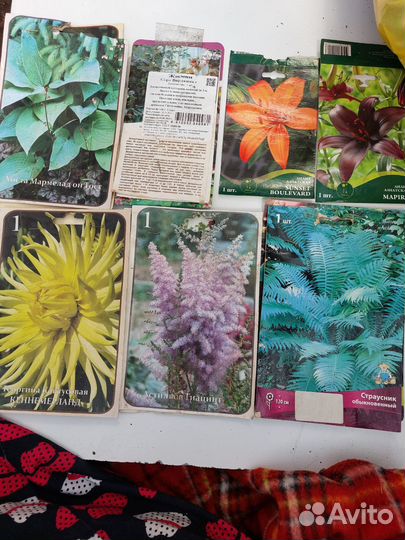 Цветы многолетние садовые