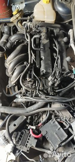 Форд Фьюжин Двигатель 1.6