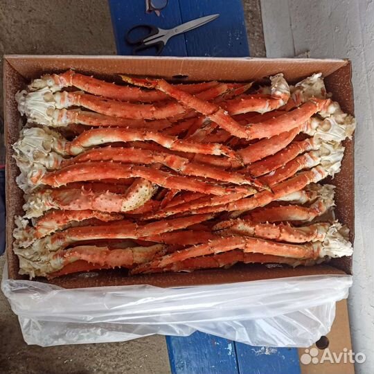 Креветка, крабы, лангустины, морепродукты опт