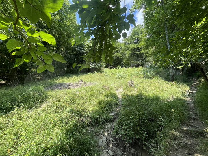 Участок 5 сот. (СНТ, ДНП)