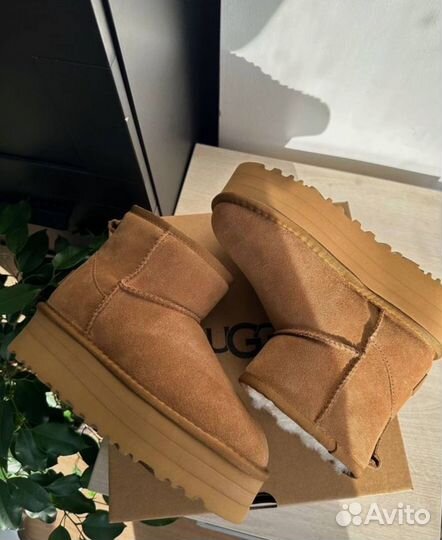 Угги женские Ugg Classic Mini Platform Chestnut