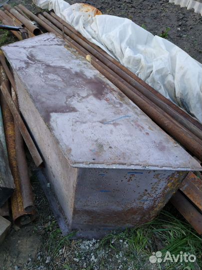 Железноекрыло