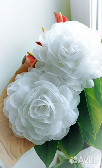 Школьные белые банты