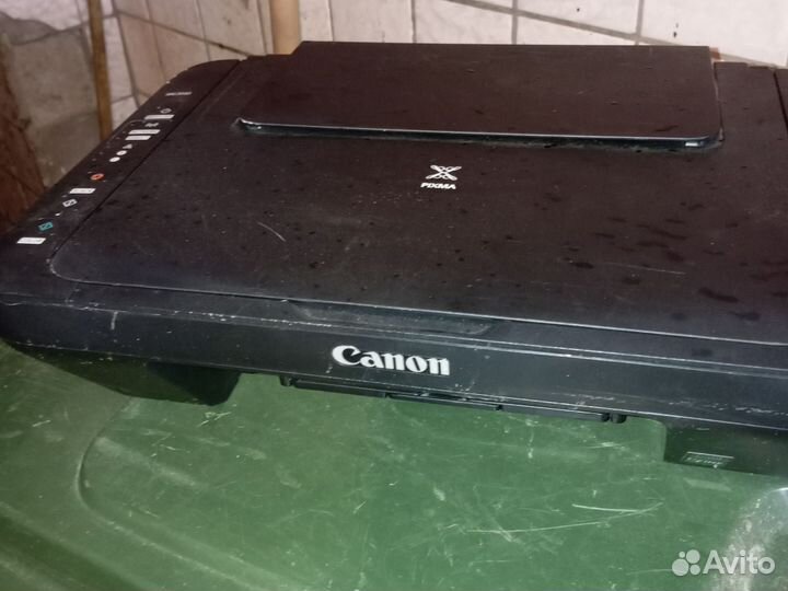 Canon
