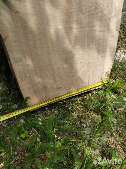 Слэб спил ясень