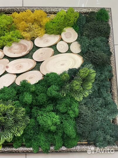 Панно из стабилизированного мха