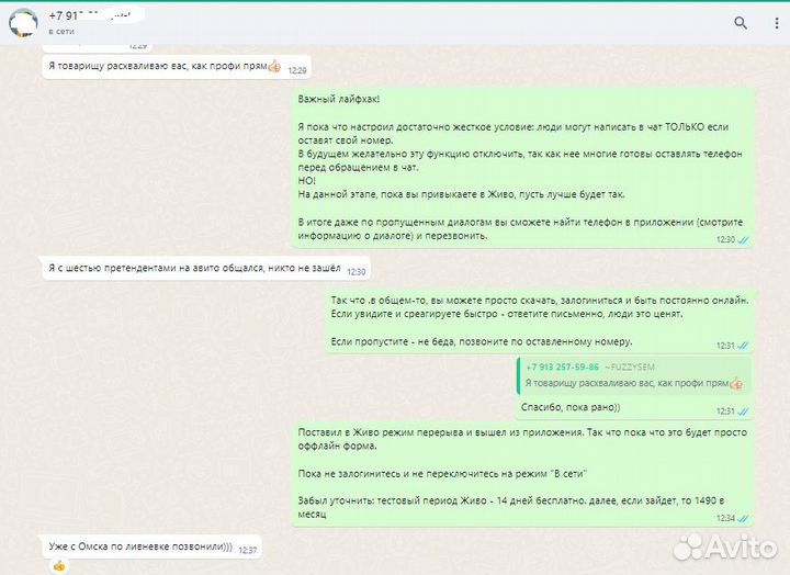 Яндекс Директ / Контекстная реклама / Директолог