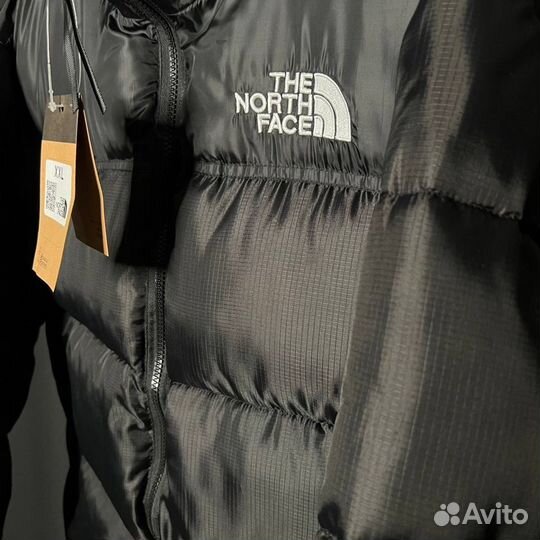 Куртка зимняя tnf 700