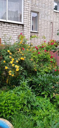 2-к. квартира, 52 м², 1/5 эт.