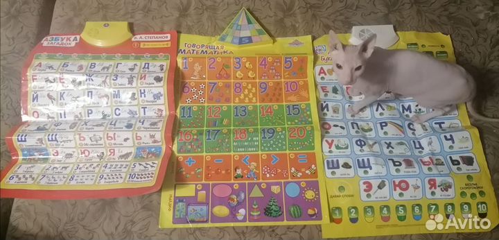 Детское, развивающие