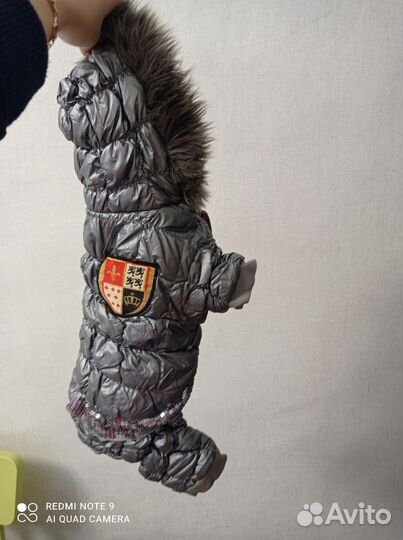 Одежда для маленьких собак зимняя