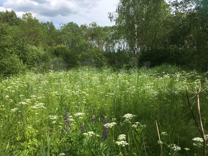 Участок 54 сот. (ИЖС)