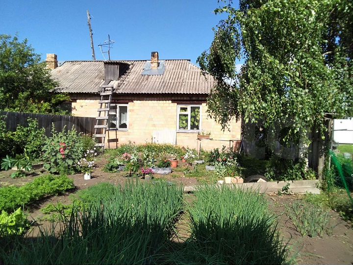 Дом 46 м² на участке 12 сот.