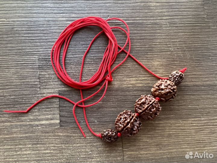 Свастья Бандх Рудракша