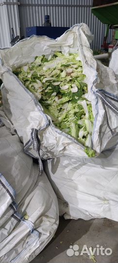 Корм для животных