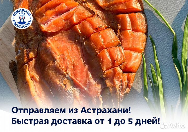 Жерех холодного копчения