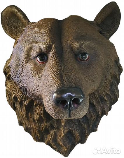 Голова Медведя