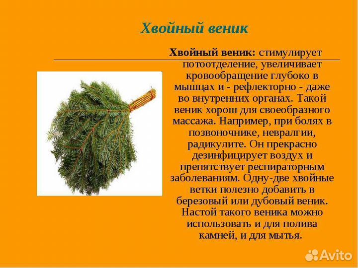 Пихтовые веники для бани