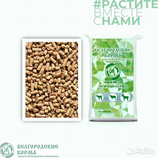 Комбикорм для лактирующих коз и овец