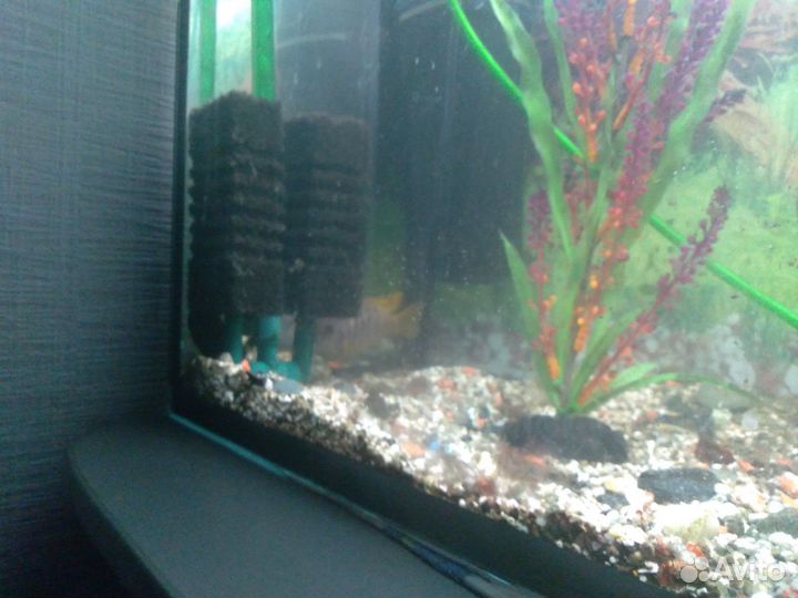 Аквариум 145л.+ 2 рыбки