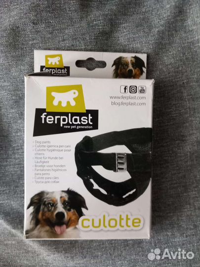 Трусы собачьи