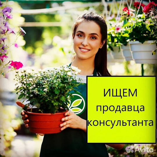 Продавец-консультант