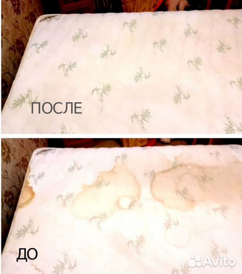 Выездная Химчистка