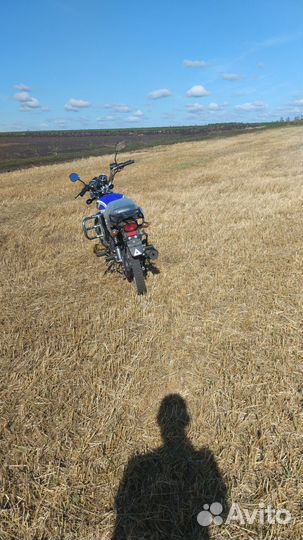 Мопеда alpha rx50(125)